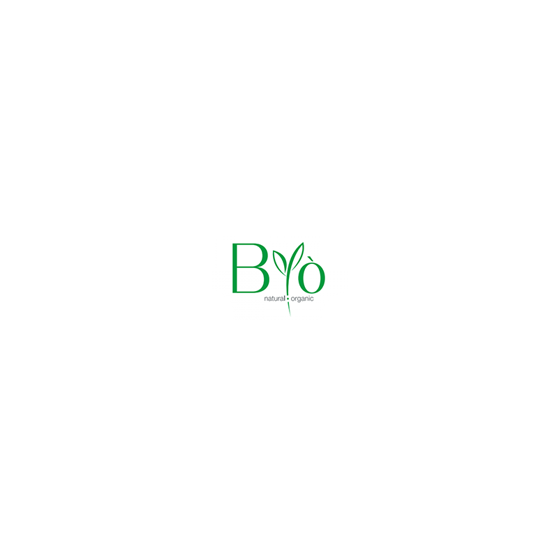 Logo_byo